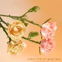 PETG Translucent-3.webp