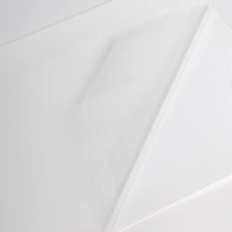 [9691] V202CG1 - Hexis Polymerisk Transparent - Printmedie ((18") 45,7cm x 10m)
