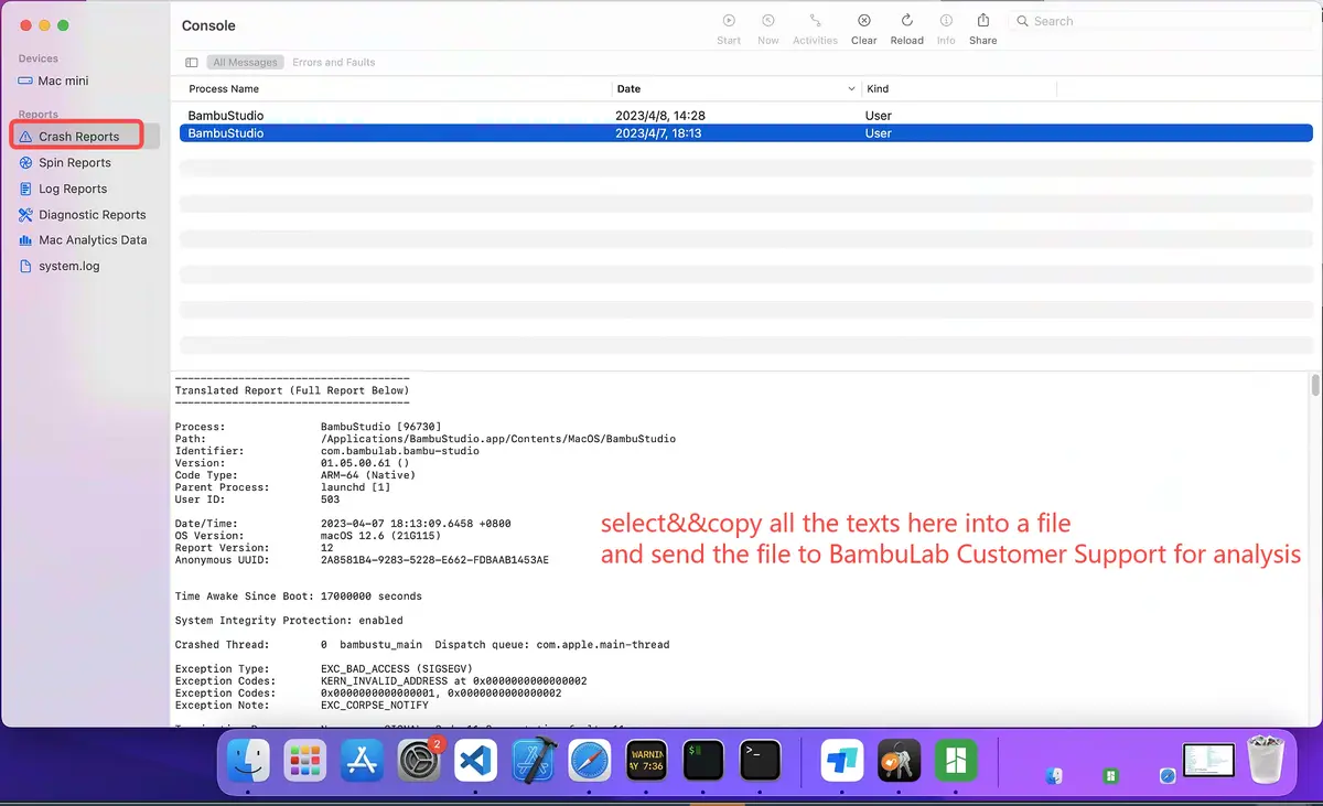 Mac Console-app der viser automatisk genererede crash-rapporter