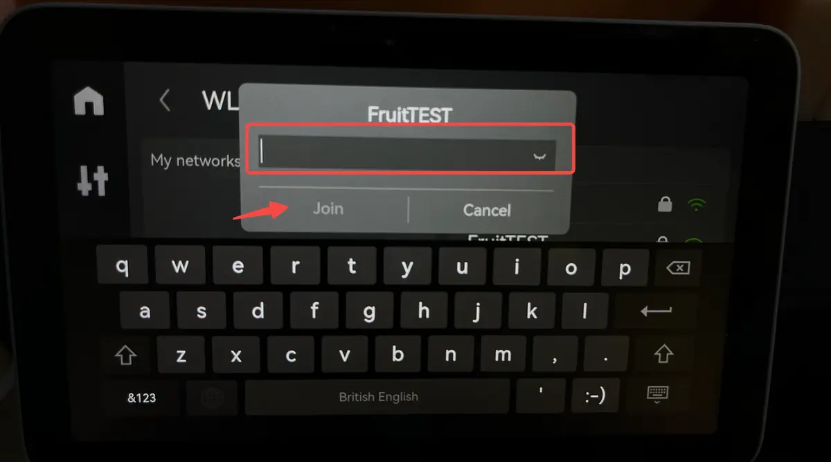 Adgangskodefeltet til Wi-Fi-forbindelsen på X1E-skærmen