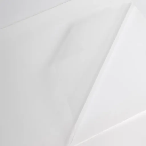 V202CG1 transparent printmedie
